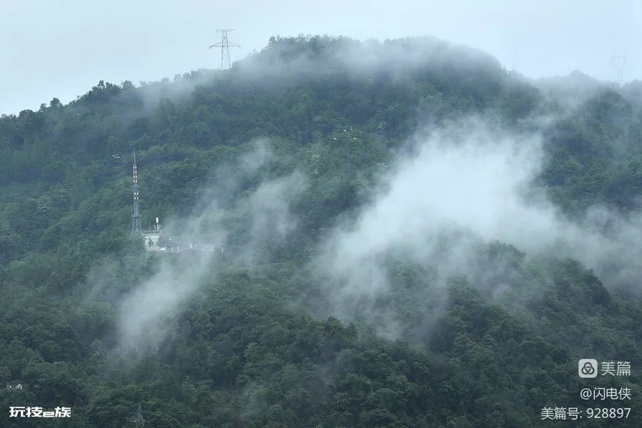 烟雨霏霏雾朦胧,雨中看花别样情-图片4