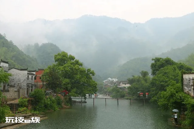 烟雨霏霏雾朦胧,雨中看花别样情-图片2