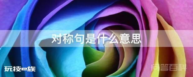 对称句是什么意思