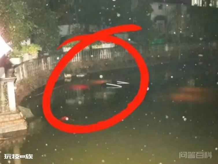 浙江辅警寒冬深夜跳水5分钟连救5人,隐瞒不报,省政府:授一等功-图片3