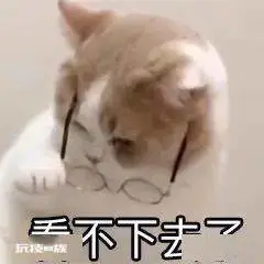 网红用大白鲨做美食,踩法律红线必将付出代价!-图片3
