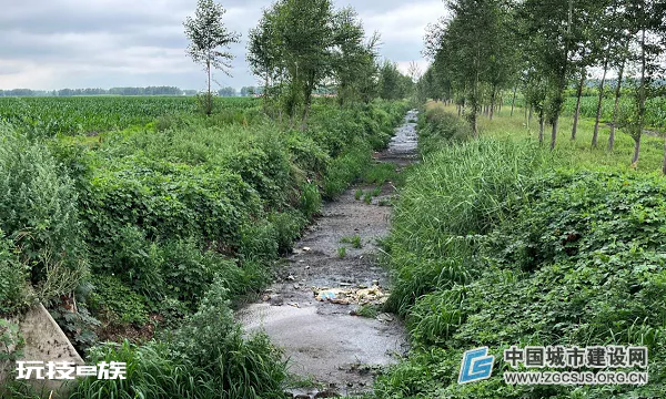 哈尔滨市呼兰区一屠宰场私自排污 环保执法被质疑“走过场”-图片2