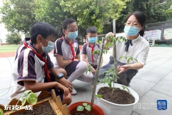 缤纷暑假-图片4