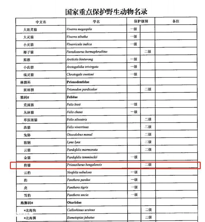 网红烧烤大白鲨背后:多少电商平台在违规卖“野味”?-图片3