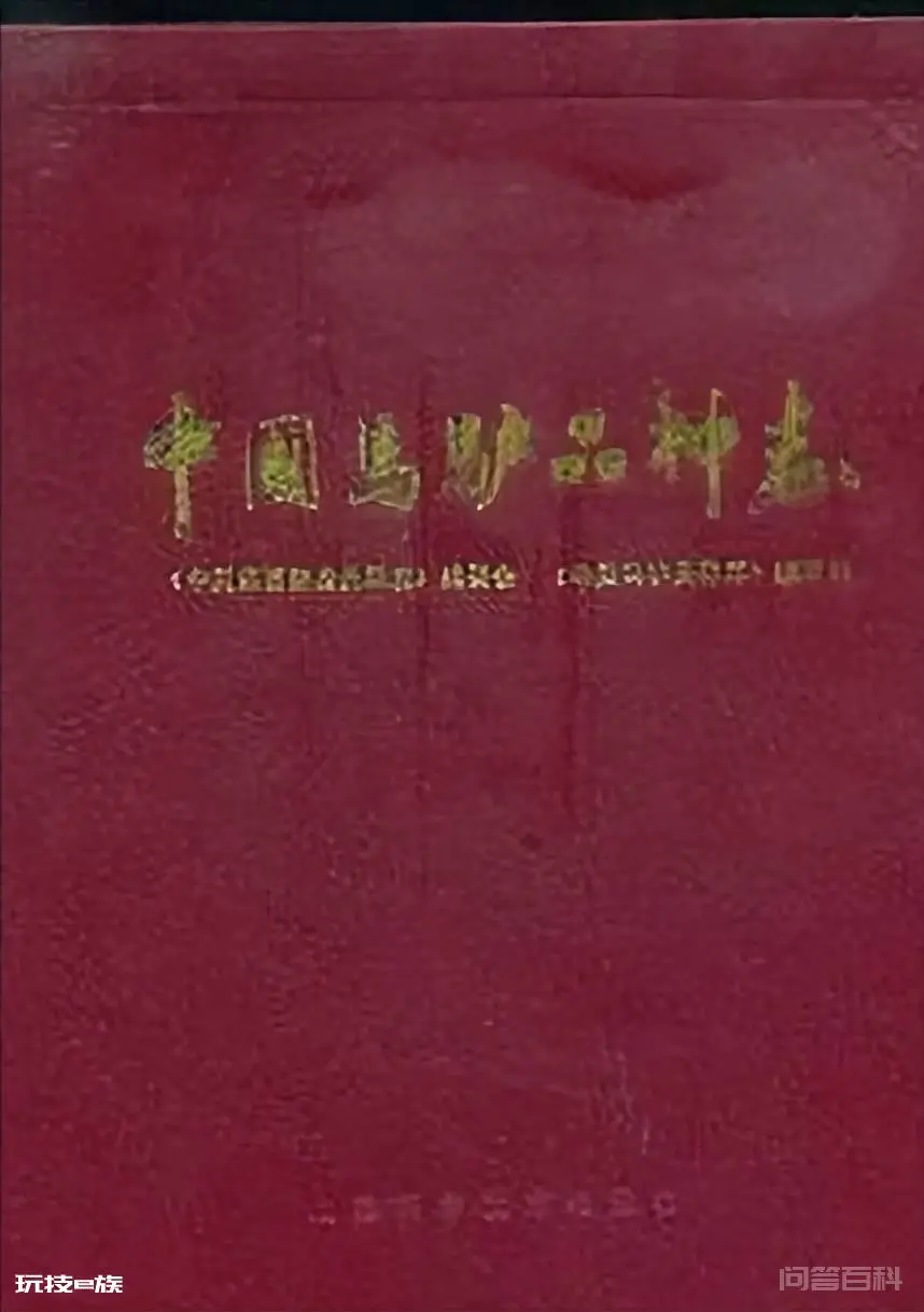 中国古代的马能跑多快?汗血宝马真能“日行千里,夜行八百”?-图片5