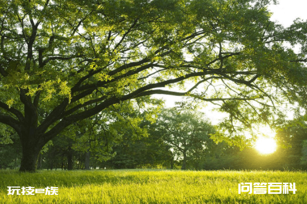 未来90日,乾坤运转、福禄双至、财源广进、金玉满堂4大生肖