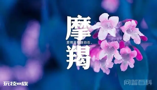 遇到挫折,能迅速调整的四大星座,白羊座永不言败-图片2