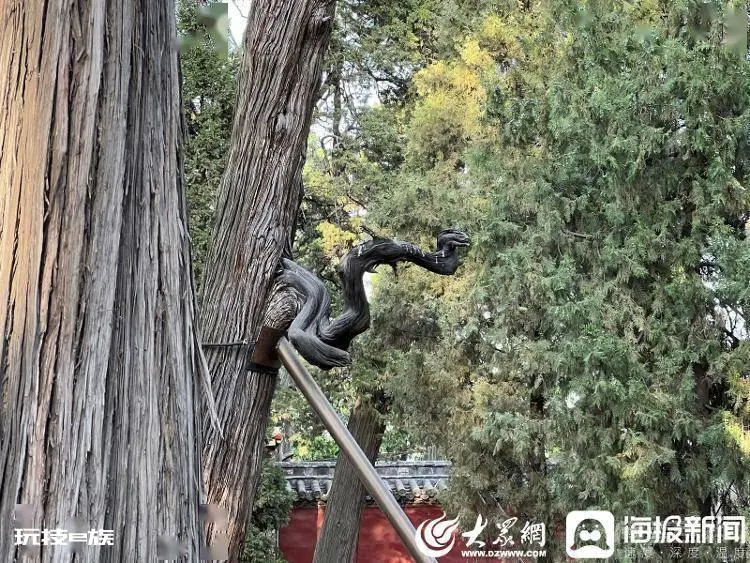 游读济宁丨孟府孟庙:品读圣贤智慧,游赏古景奇观-图片5