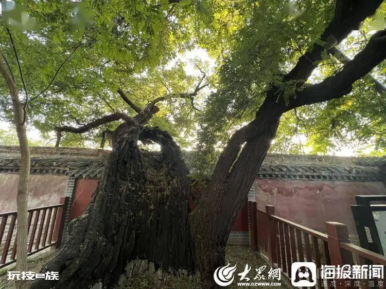 游读济宁丨孟府孟庙:品读圣贤智慧,游赏古景奇观-图片8