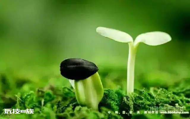 【卵黄囊】出现卵黄囊说明什么