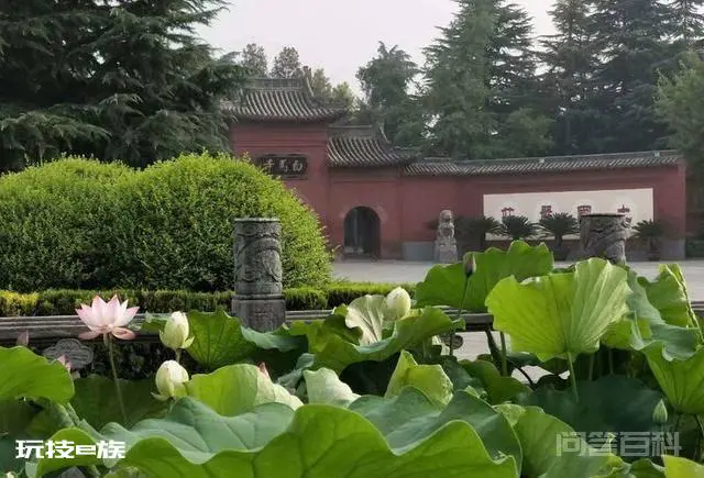 洛阳白马寺止语茶舍,佛国幽静之地,一草一木一叶一花一世界-图片1