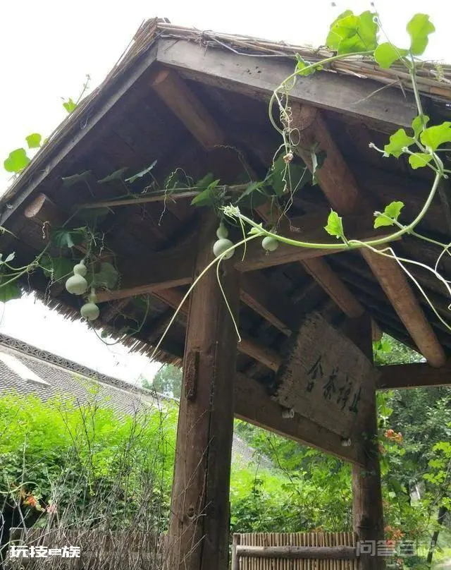 洛阳白马寺止语茶舍,佛国幽静之地,一草一木一叶一花一世界-图片14
