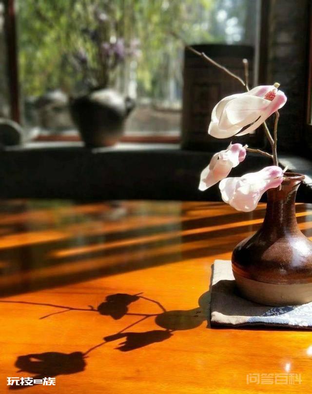 洛阳白马寺止语茶舍,佛国幽静之地,一草一木一叶一花一世界-图片19