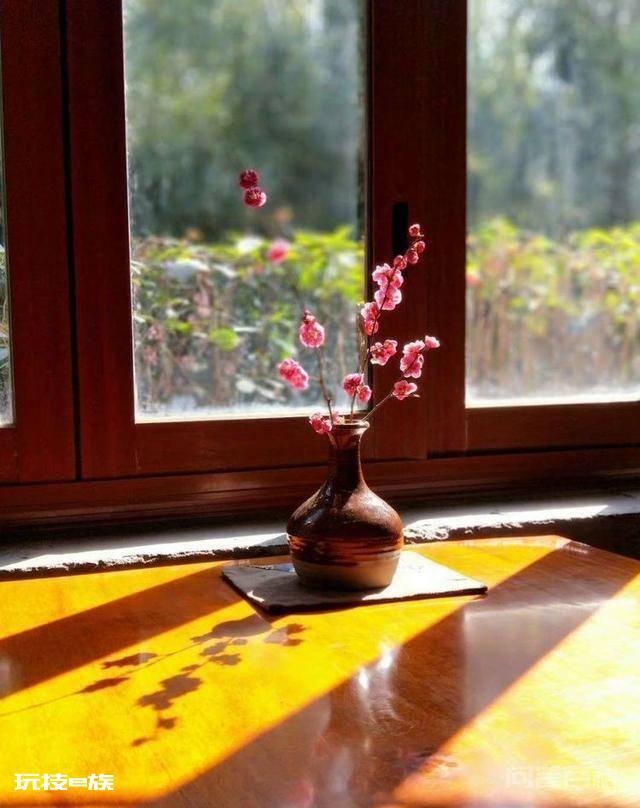 洛阳白马寺止语茶舍,佛国幽静之地,一草一木一叶一花一世界-图片21
