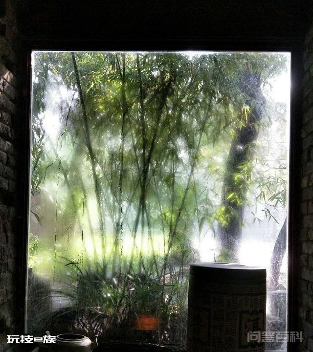 洛阳白马寺止语茶舍,佛国幽静之地,一草一木一叶一花一世界-图片24