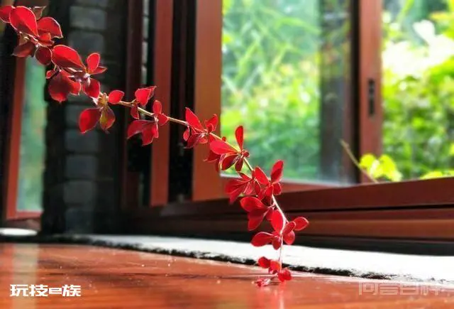洛阳白马寺止语茶舍,佛国幽静之地,一草一木一叶一花一世界-图片44