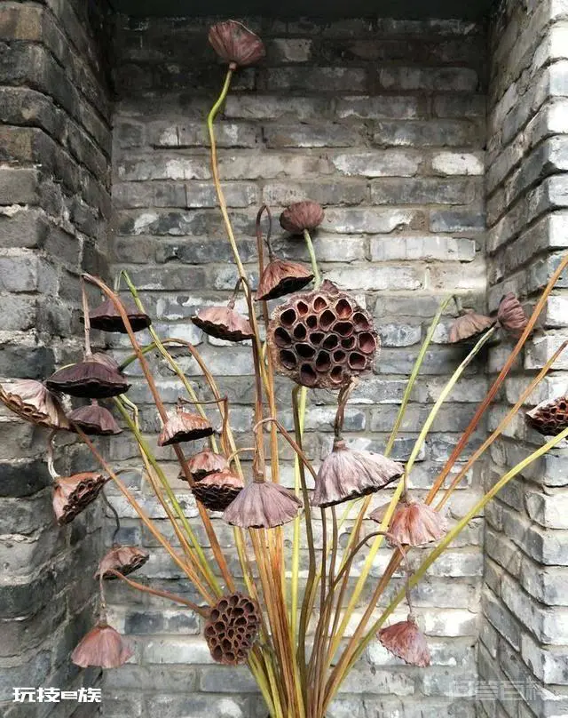 洛阳白马寺止语茶舍,佛国幽静之地,一草一木一叶一花一世界-图片48