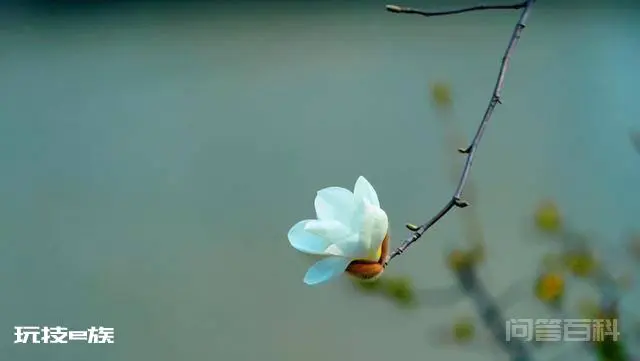 见或不见,唯有随缘-图片2