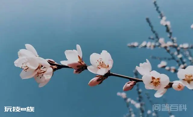 见或不见,唯有随缘-图片3