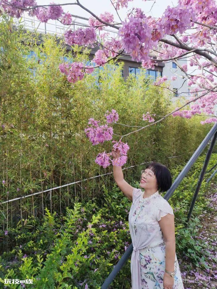 读人面桃花 桃花醉春风-图片2
