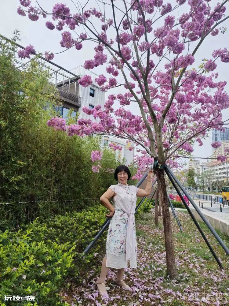 读人面桃花 桃花醉春风-图片15