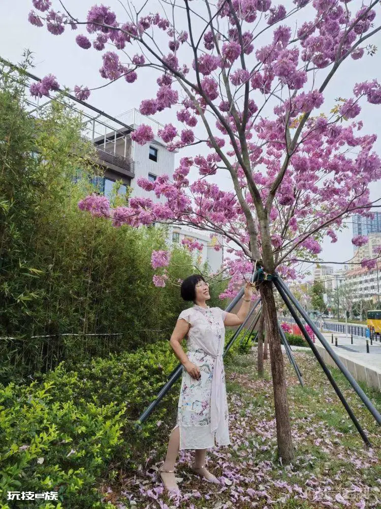 读人面桃花 桃花醉春风-图片16