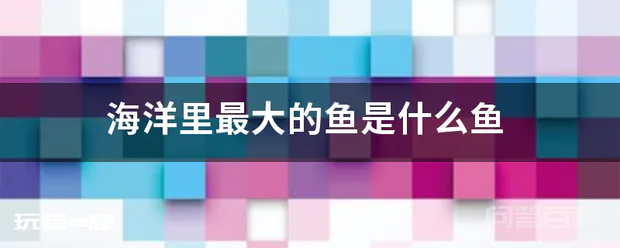 海洋里最大的鱼是什么鱼-图片1