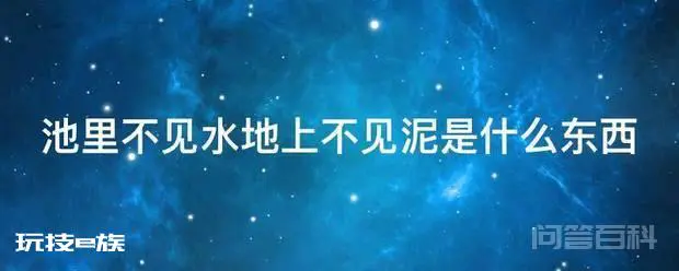 池里不见水地上不见泥是什么东西