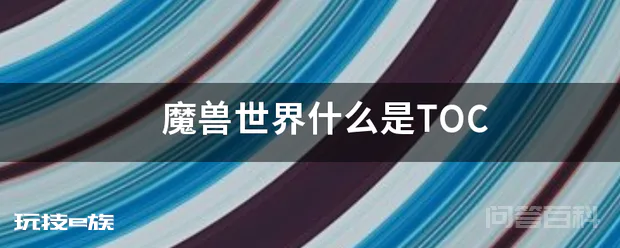 魔兽世界什么是TOC