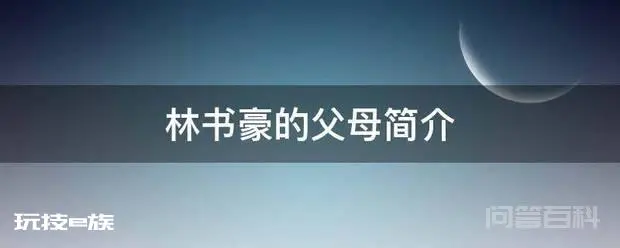 林书豪的父母简介