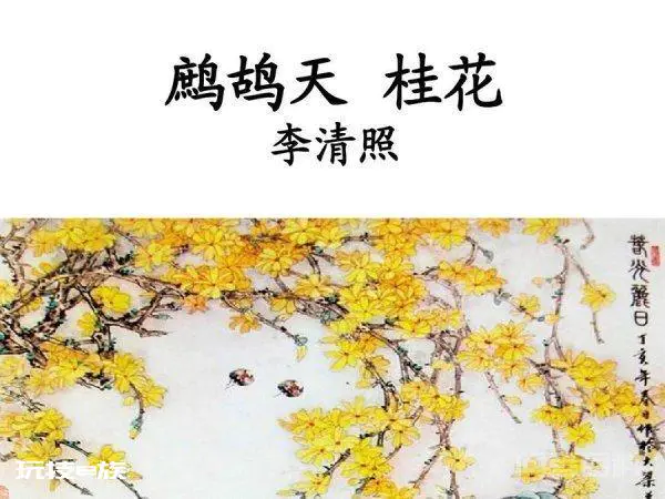 何须浅碧轻红色 自是花中第一流-图片2