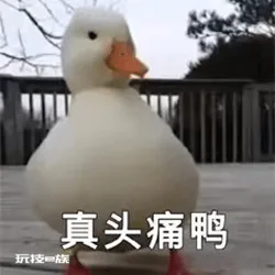 帝大、早庆上、MARCH、关关同立是怎样的日本大学群?日本留学大学推荐-图片1