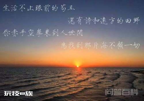 生活不只是眼前的苟且,还有诗和远方什么意思