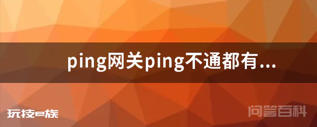 ping网关ping不通都有什么原因呢?请高手帮我分析下我的情况
