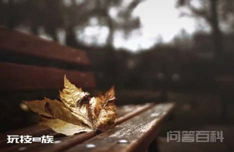 一片片照样子,写一写是什么意思