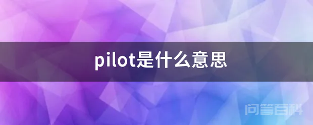 pilot是什么意思-图片1