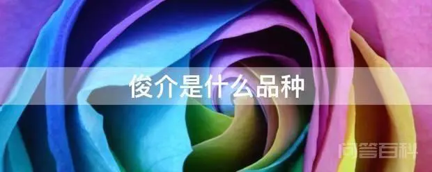 俊介是什么品种-图片1