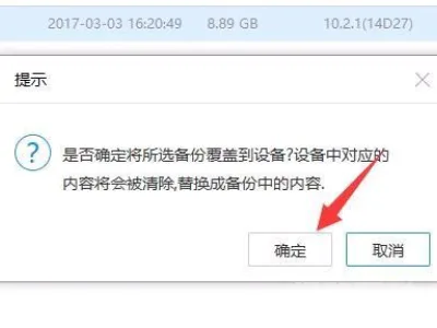 iTunes无法恢复备份因为iPhone已断开连接怎么办-图片11