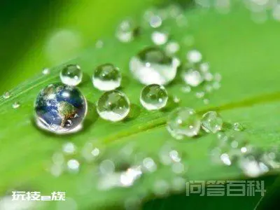 露珠湿沙壁,暮幽晓寂寂什么意思