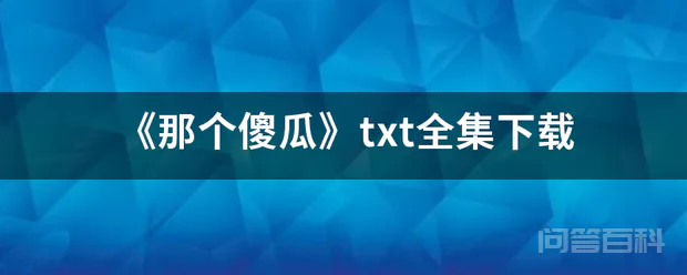 《那个傻瓜》txt全集下载