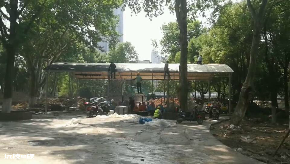 合肥逍遥津公园里一家游乐公司和中央环保督察组对着干,毁绿!毁绿!毁绿!-图片2