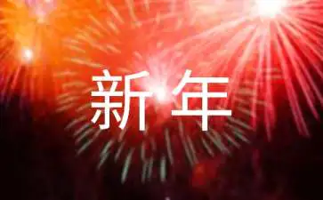 我的新年愿望200字英语日记-图片1