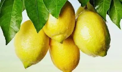 精油 | 哪种精油美白效果好?-图片1