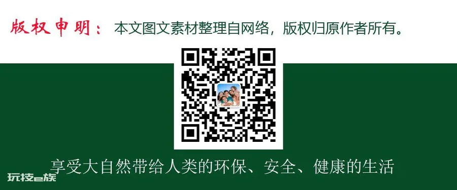 精油 | 哪种精油美白效果好?-图片6