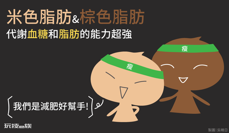 减肥有效燃烧脂肪的药(新型减肥药真的来了,促脂肪“燃烧”,提取自我国传统中药材)-图片2