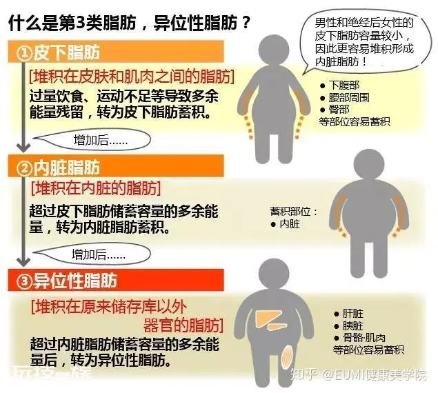 减肥有效燃烧脂肪的药(新型减肥药真的来了,促脂肪“燃烧”,提取自我国传统中药材)-图片4