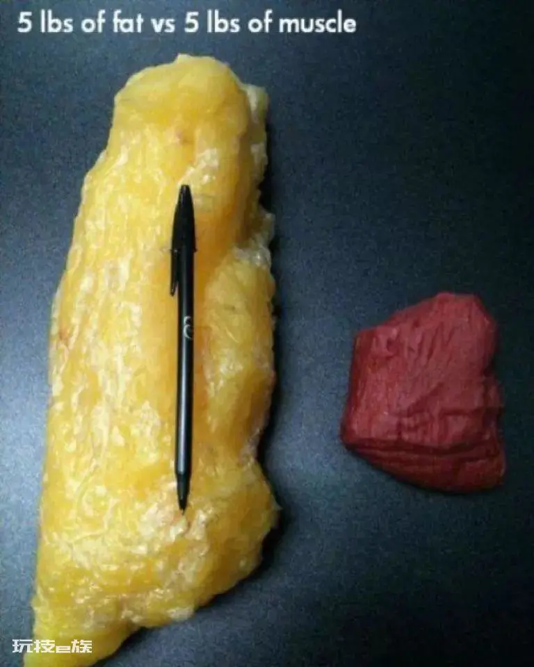 流汗等于燃烧脂肪吗?减脂增肌可以同时进行吗?-图片2