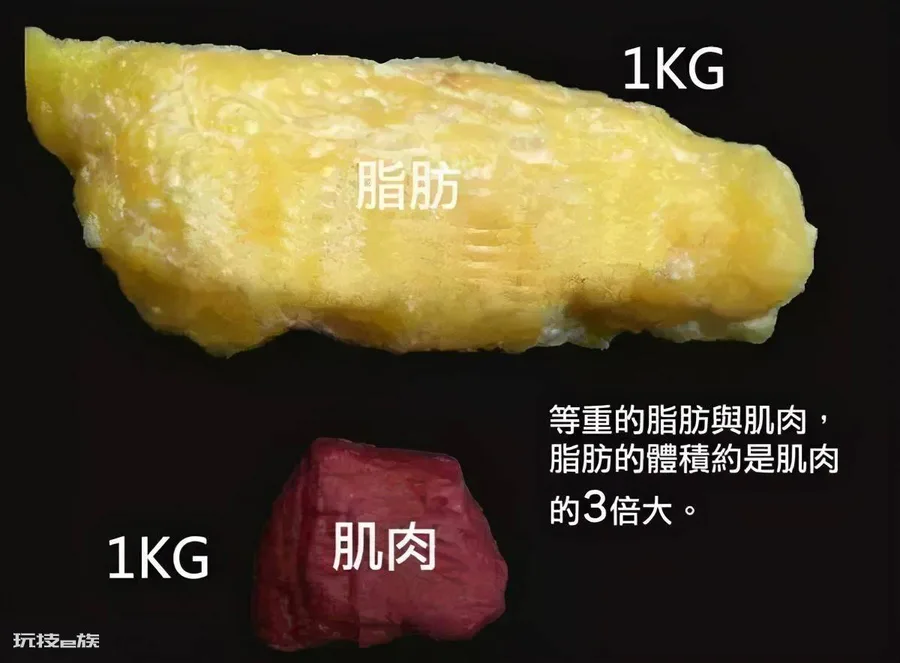 流汗等于燃烧脂肪吗?减脂增肌可以同时进行吗?-图片5