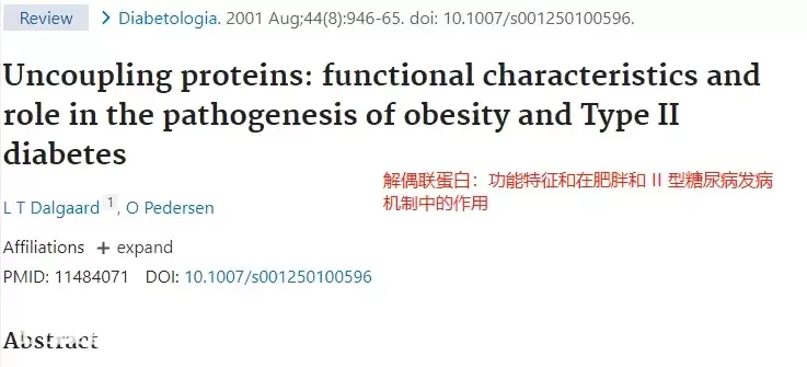 重大发现：解偶联蛋白，可以加速脂肪燃烧、快速燃脂-图片12
