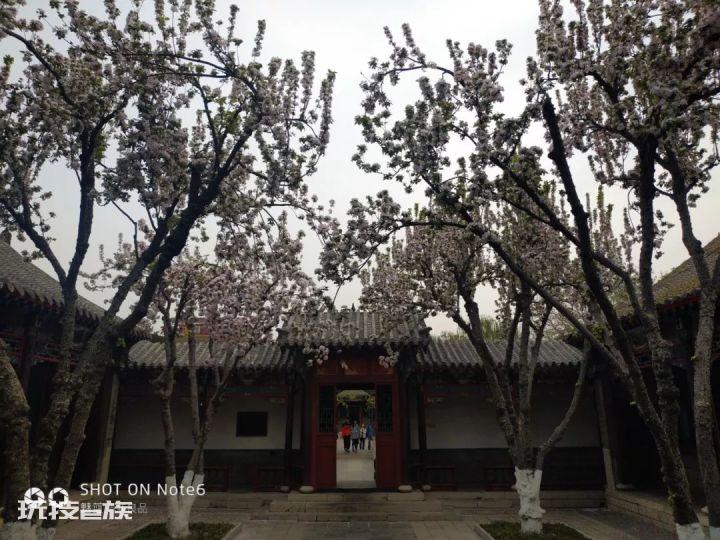济南二日游之趵突泉-图片30